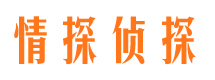 平武市婚姻调查